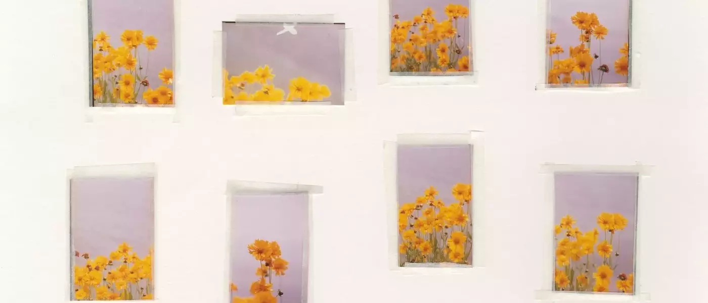 Nico Perez's 'Everything Is Nothing and Nothing Is Everything': A Photographic Journey of Connection and Truth