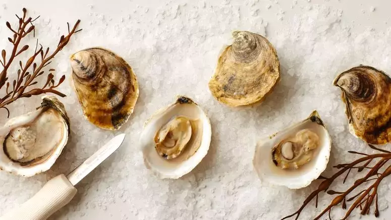 The Art of Mignonette: Enhancing Your Oyster Experience