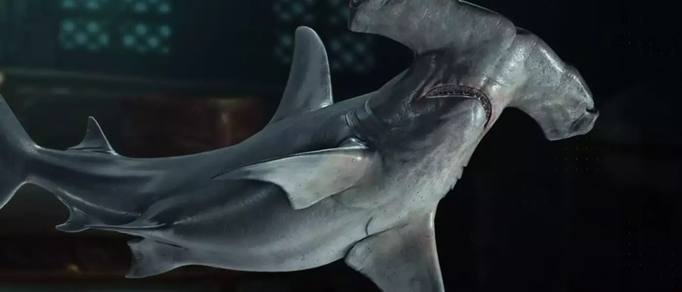 Acquiring Hammerhead Shark Bones in Assassin's Creed Black Flag Resynced