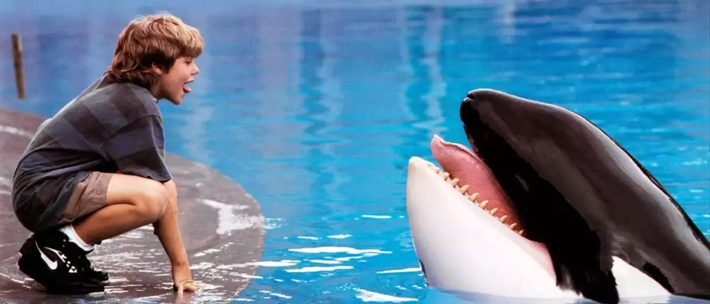 Warner Bros. Developing "Free Willy" Reboot with AGBO Producing