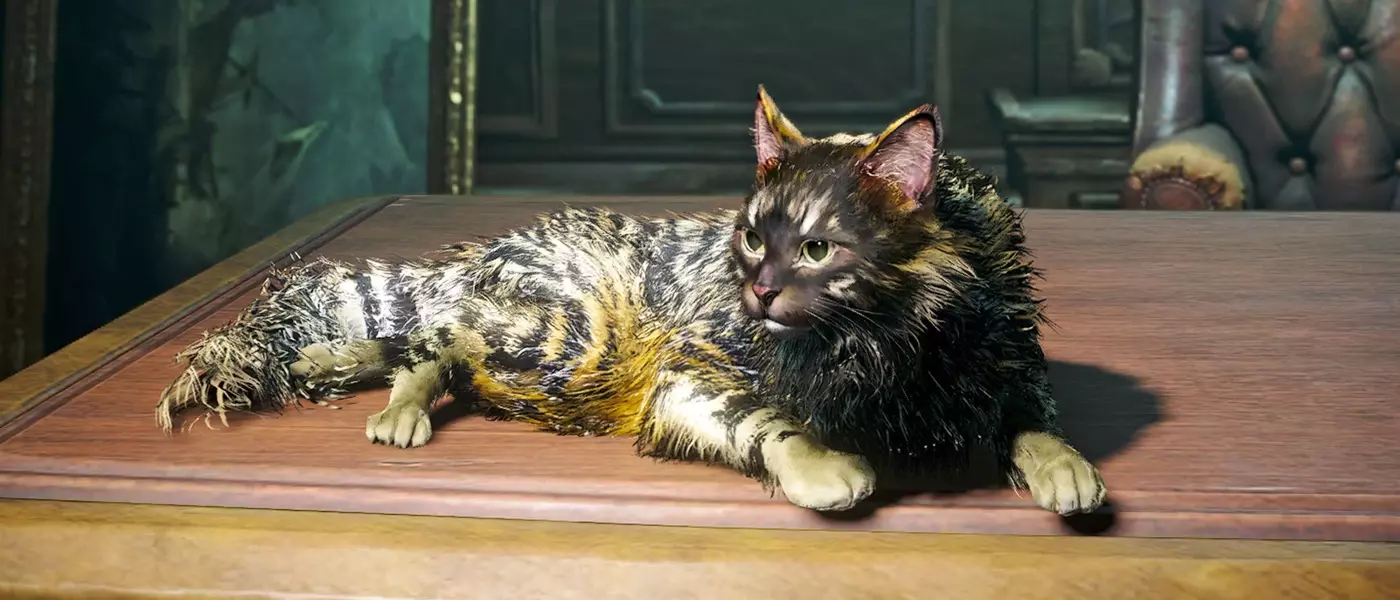 Acquiring Companions in Assassin's Creed Black Flag Resynced