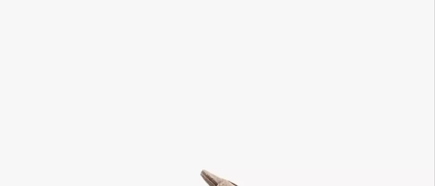 Summer's Must-Have Footwear: The Enduring Allure of Birkenstock Sandals