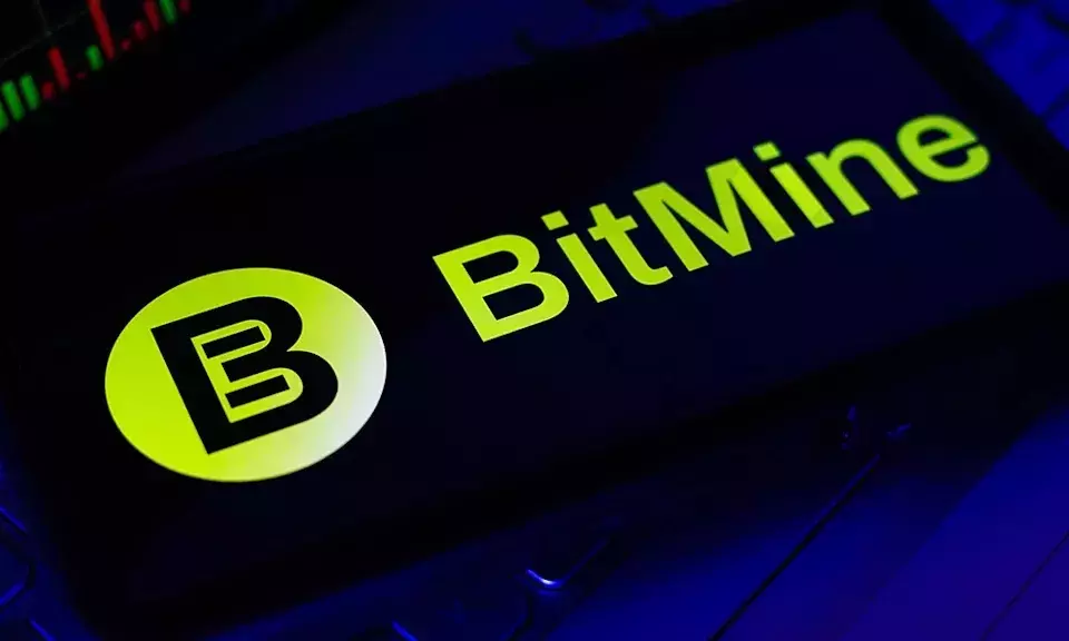 Bitmine Reduces Ethereum Acquisition Amidst Stock Buyback Initiative