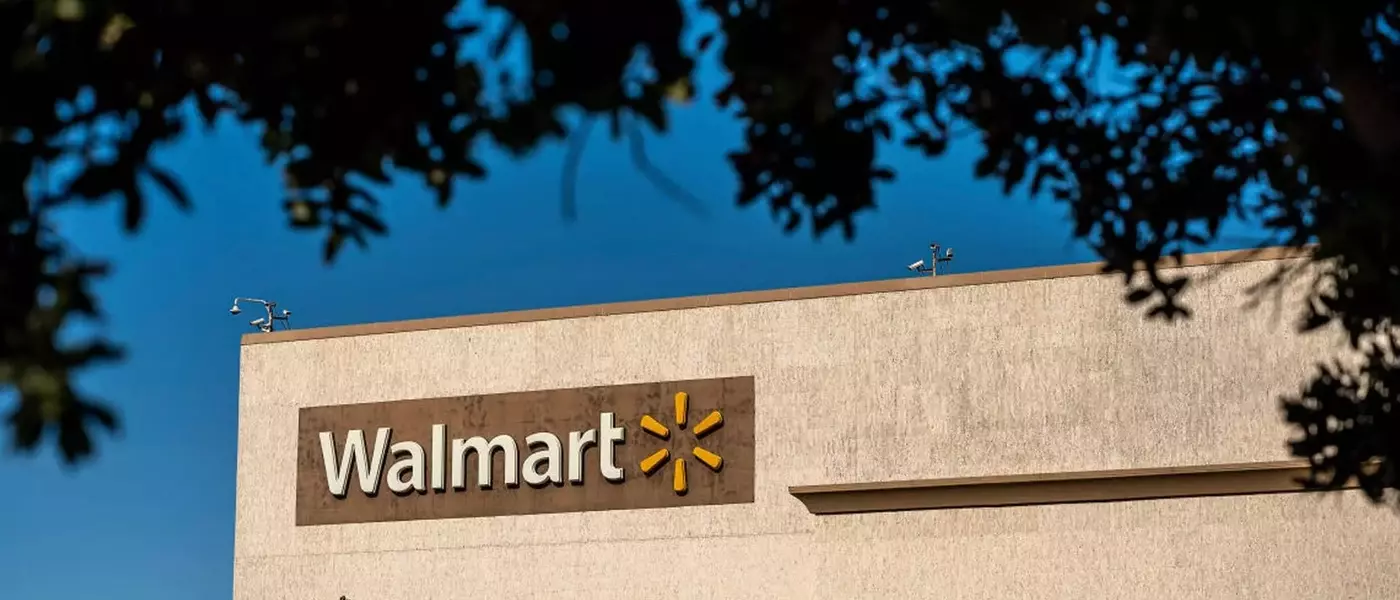 Maximize Your Road Trip Storage with a Discounted Rooftop Cargo Carrier at Walmart