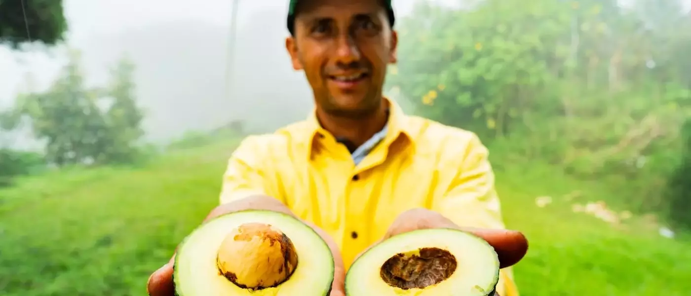 Mission Produce: A Post-Merger Assessment