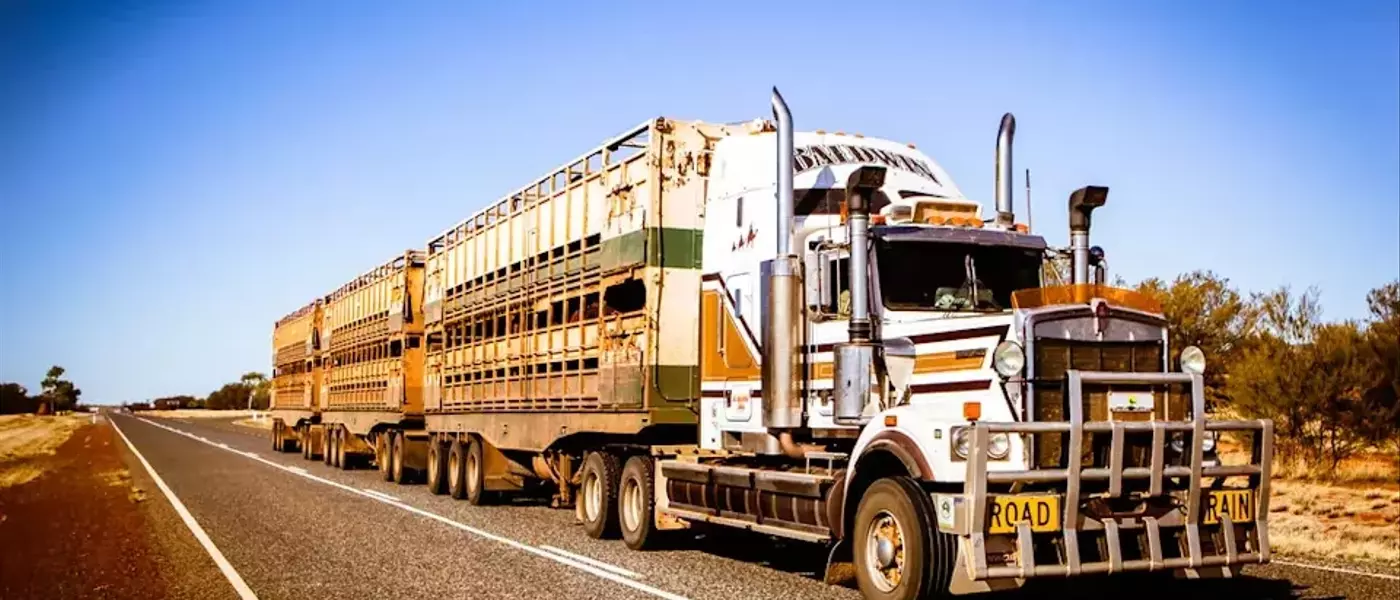 Transportation Sector Performance: A Tale of Two Trends Amid Rising Fuel Costs