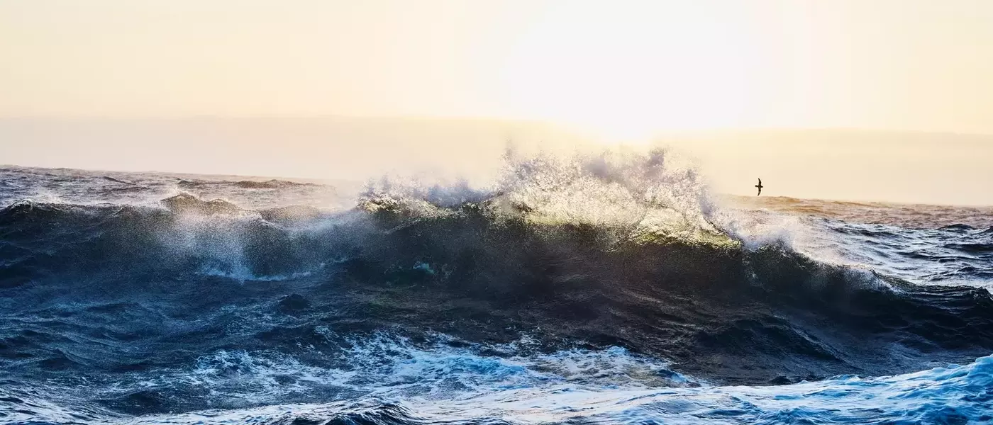OceanFirst Financial Corp. Bolsters Presence with Strategic Acquisition, Reports Steady Q2 Performance