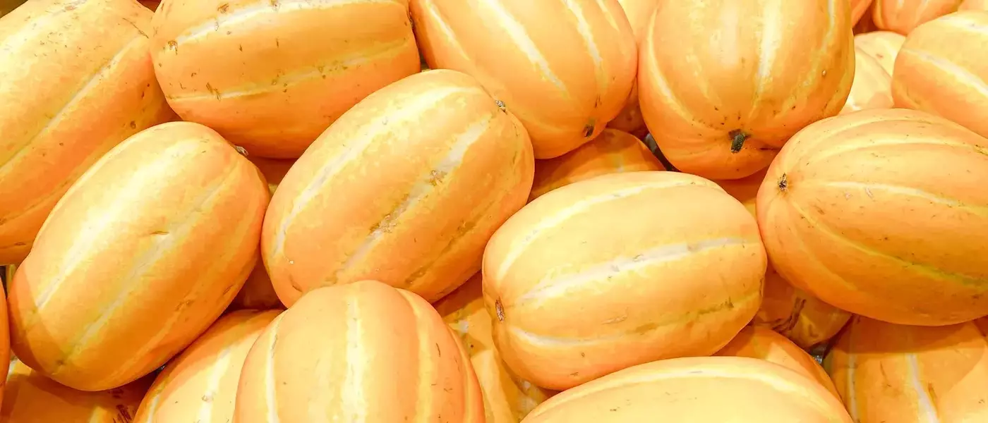 A Connoisseur's Guide to Selecting the Perfect Melon