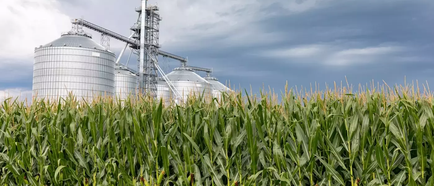 Alto Ingredients: A Promising Investment in Renewable Fuels