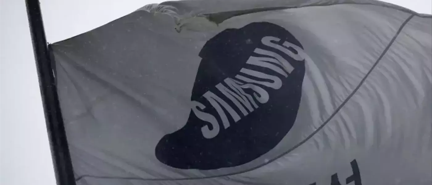 Samsung Investors Demand Share Buyback and Bonus Limits Amidst Stock Decline
