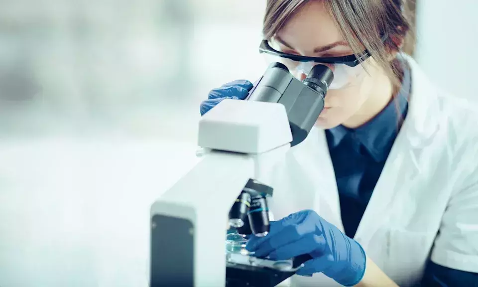 IQVIA's Remarkable Q2 Performance Driven by Clinical Research Backlog
