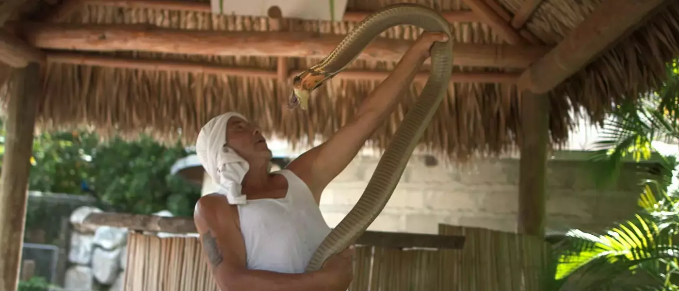 Unveiling the True "Monsters of God": Eric Goode's Journey from "Tiger King" to Reptile Trafficking Exposé