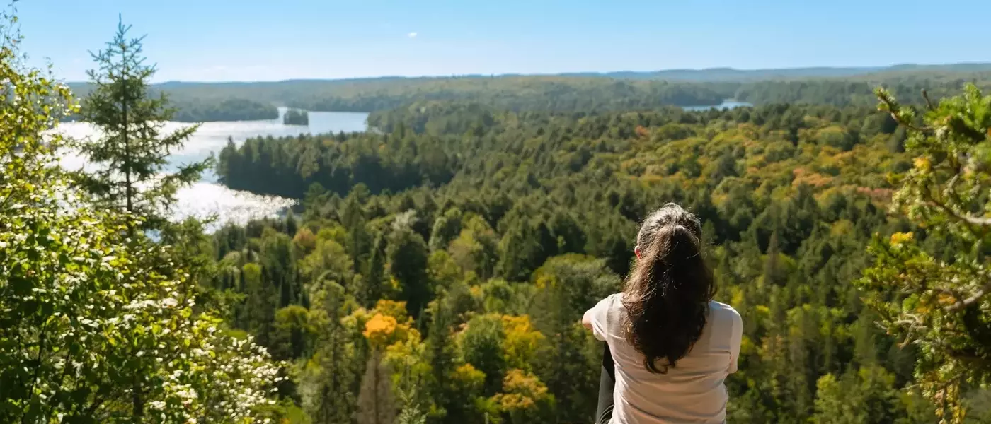Algonquin Power: A Strategic Shift Towards Stability and Growth