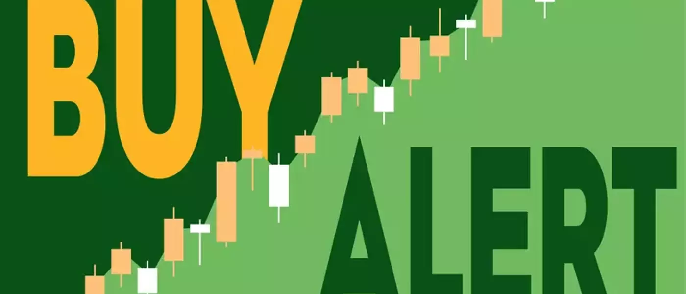 Tractor Supply CEO Increases Stake Amidst Stock Dip