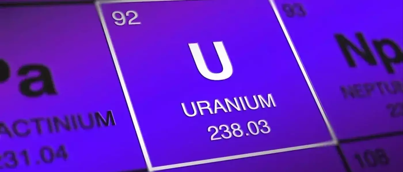 Nuclear Energy Investments: A Disconnect Between Policy and Performance