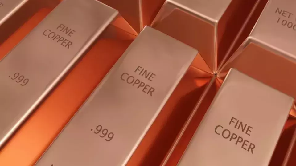 TNR Gold's Los Azules Copper Project Nears Final Investment Decision