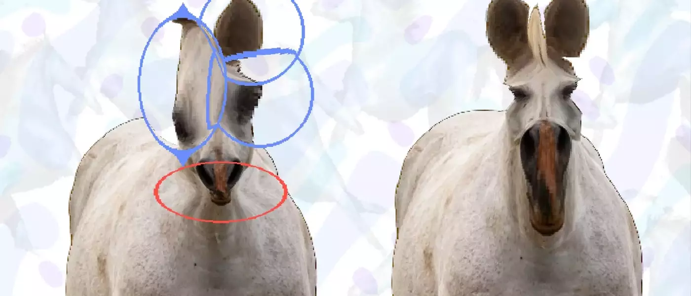 "Horse Magnifier: The Full Horse" Takes Steam by Storm with Unique Puzzle Gameplay