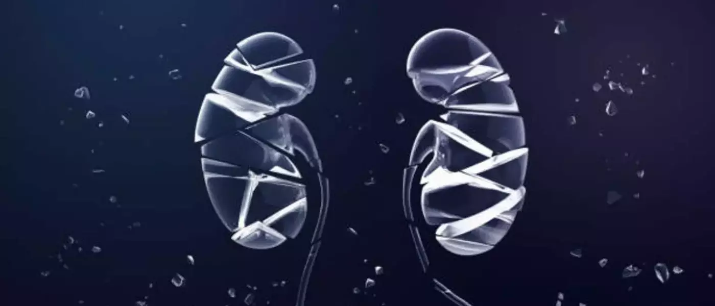ProKidney's Rilparencel: A High-Stakes Bet on an Unproven Therapy