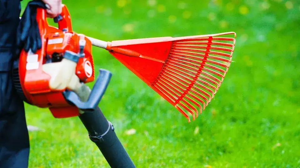 Leading Lawn and Garden Distributor Faces Chapter 11 and Potential Liquidation