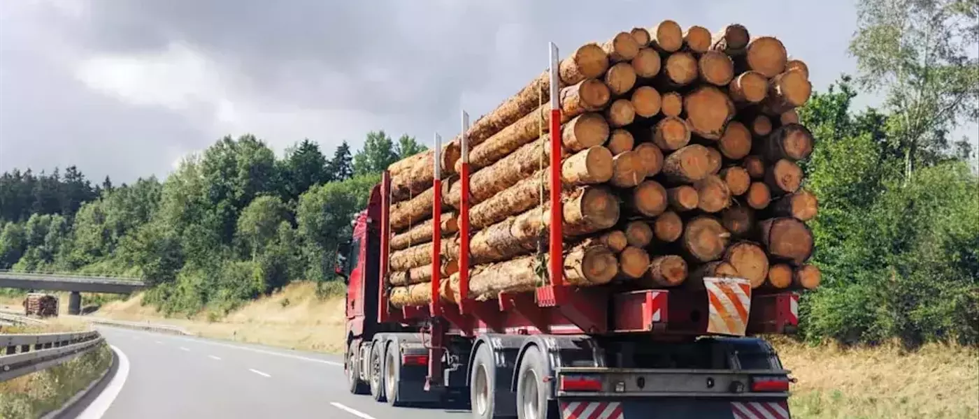Timber Sales and Social Security: Investor or Logger?