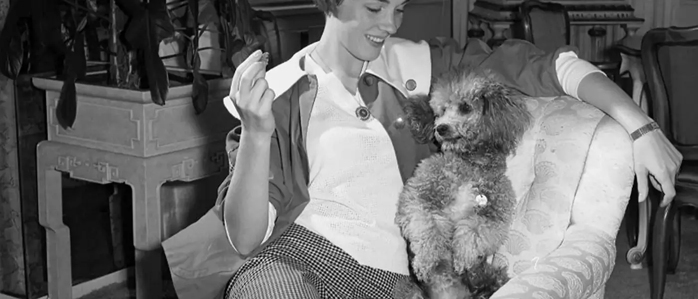 A Lifetime of Canine Companions: Julie Andrews and Emma Walton Hamilton's Enduring Love for Dogs