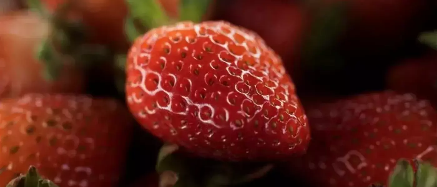 Mexico Challenges US Strawberry Dumping Ruling