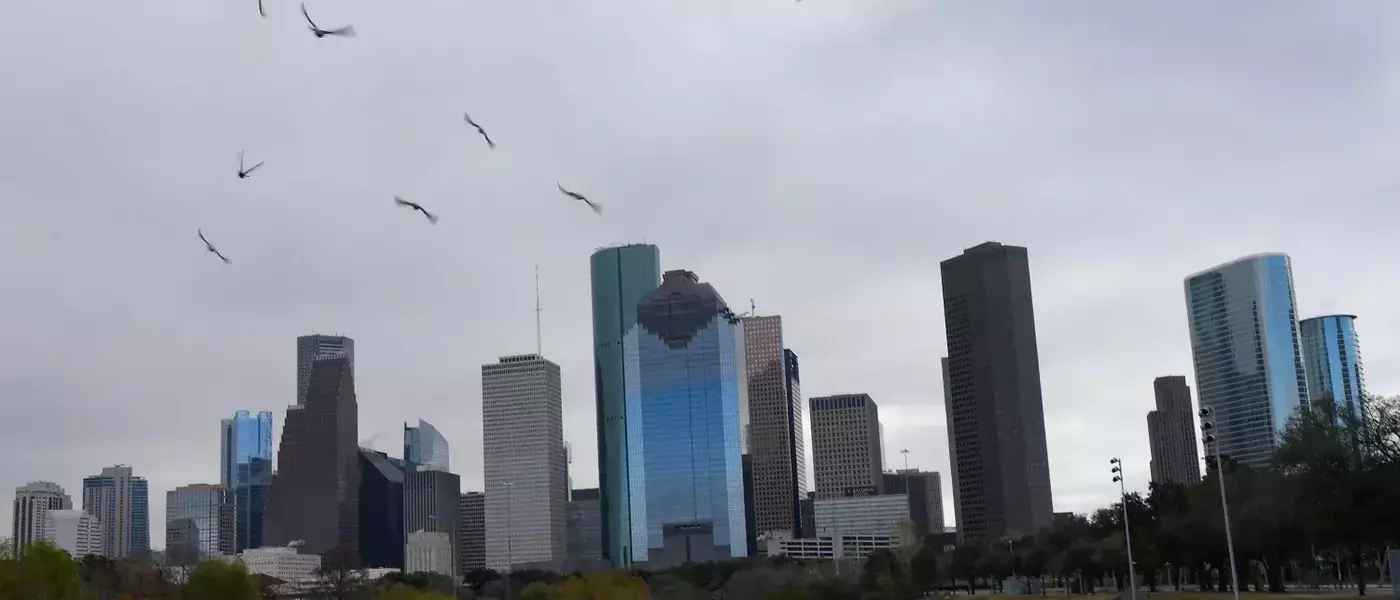 Houston: An Ideal Retirement Destination