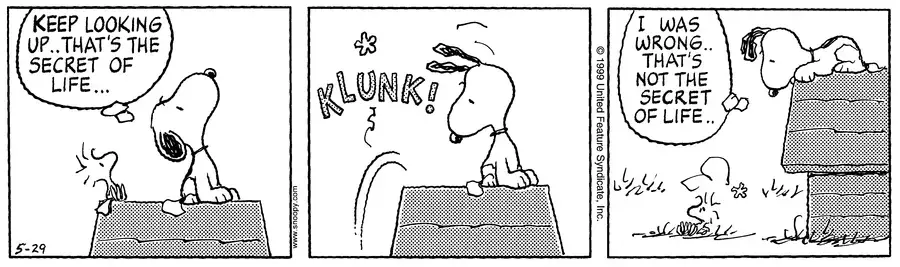 Snoopy's Enduring Wisdom: A "Peanuts" Philosophy for Life