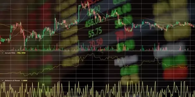 Unpacking Portfolio Performance: Key Drivers and Market Dynamics