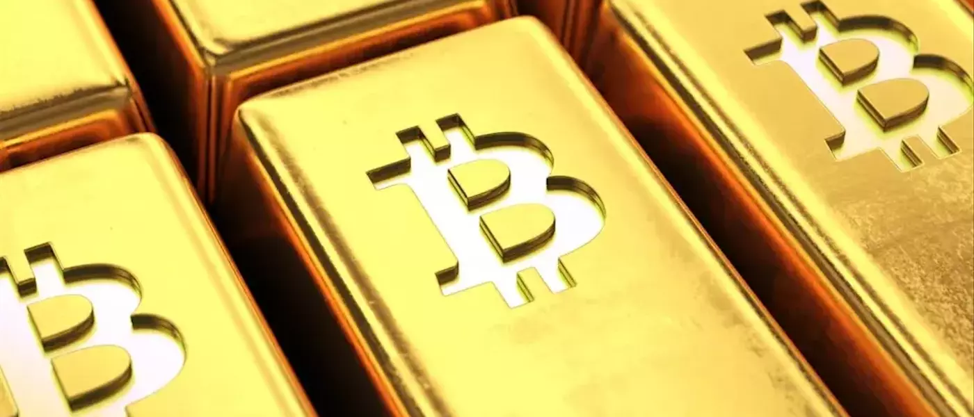 The Dual Defense Strategy: Bitcoin and Gold as Economic Shields