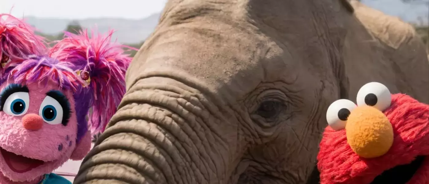 Elmo and Friends Embark on an African Safari in 'Sesame Street and the Great Elephant Adventure'