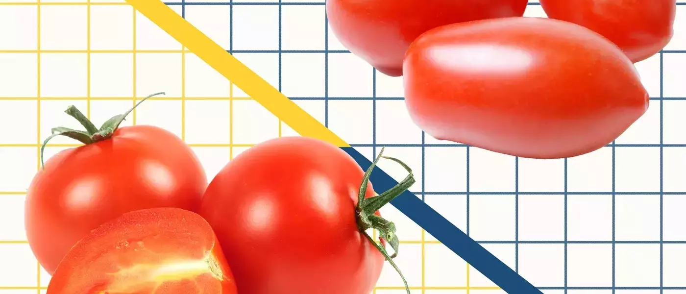 Understanding the Differences Between Cherry and Grape Tomatoes
