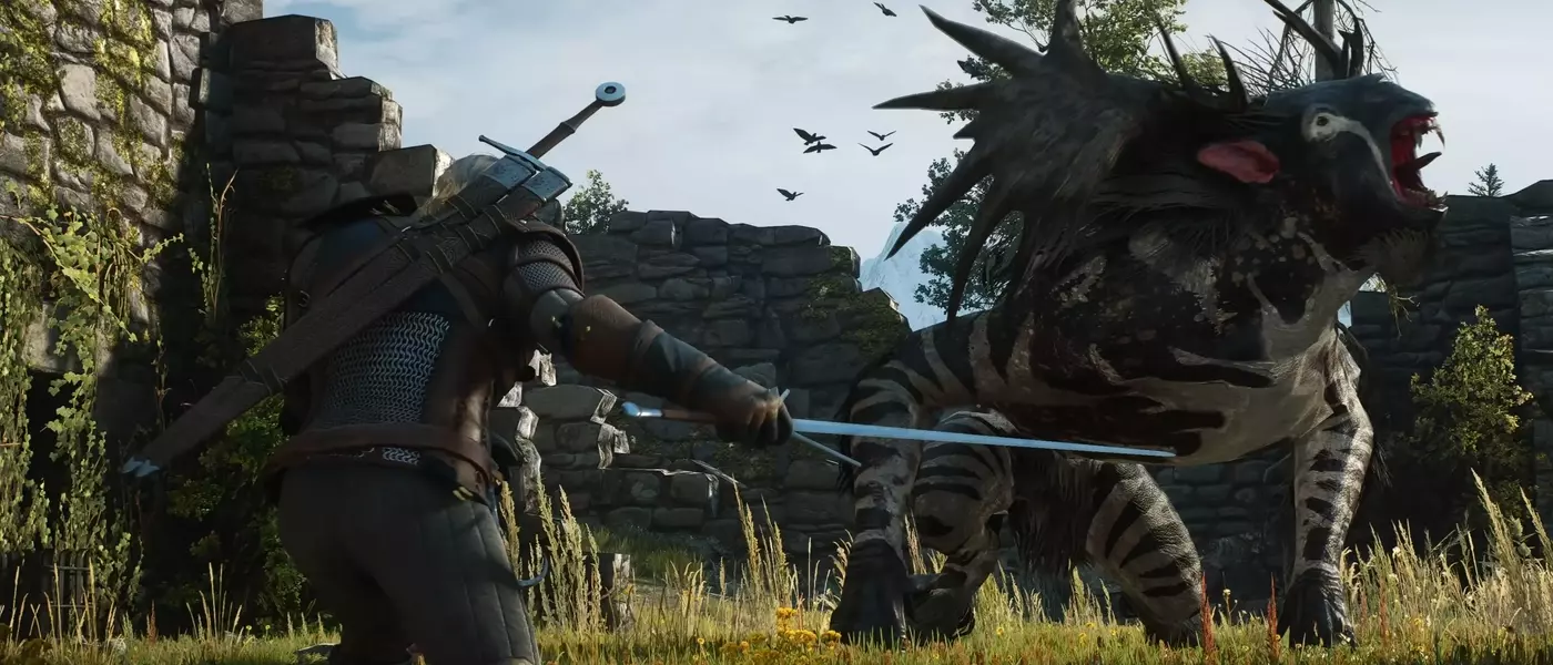 The Witcher 3 Remastered: Steam Deck Performance Confirmed