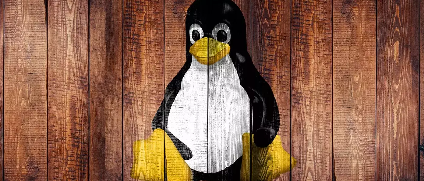 Linux Evades Age Verification Mandate in California, SteamOS Status Uncertain