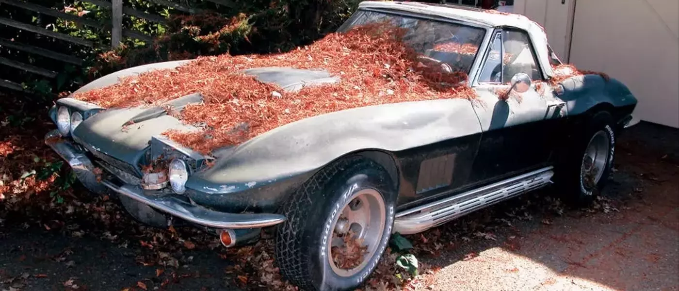 The Enduring Spirit of Forgotten Classic Cars