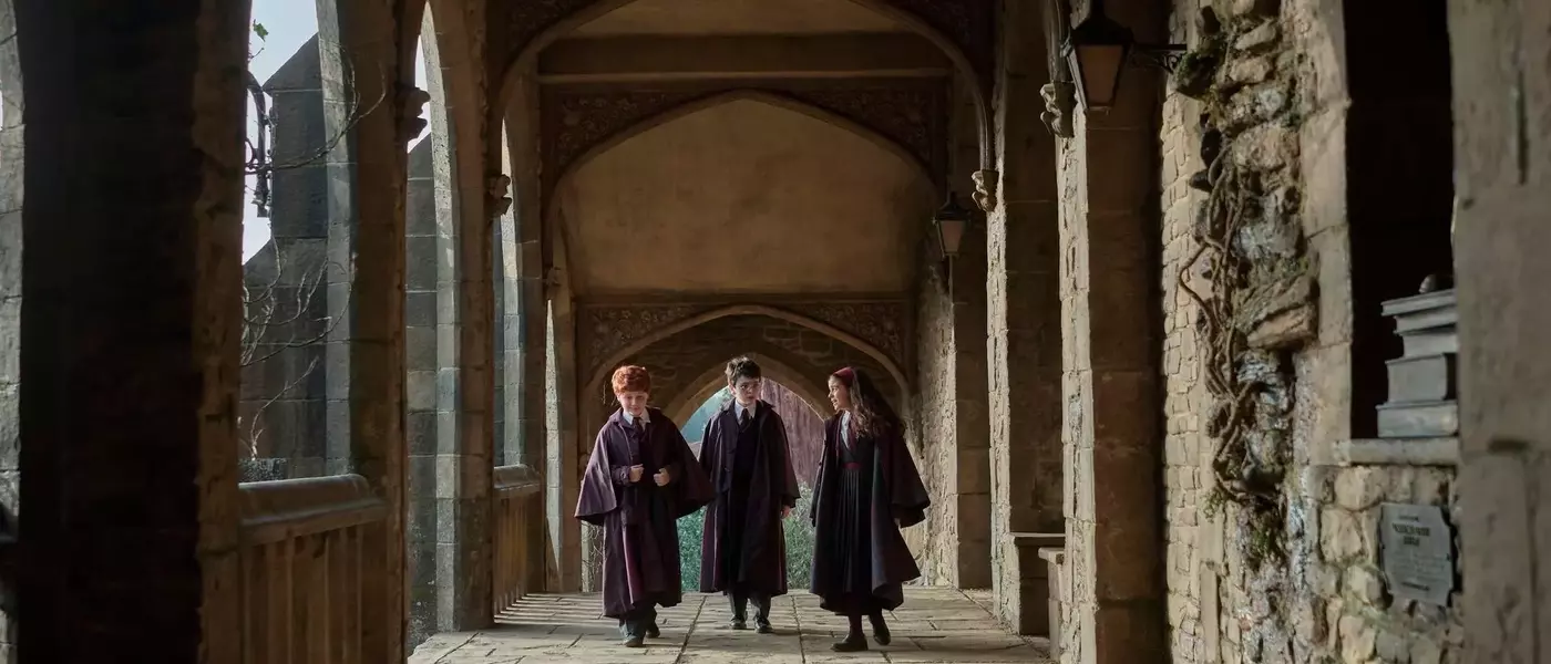 HBO's "Harry Potter" Series Reveals New Cast for Season 2, Including Dobby and Tom Riddle