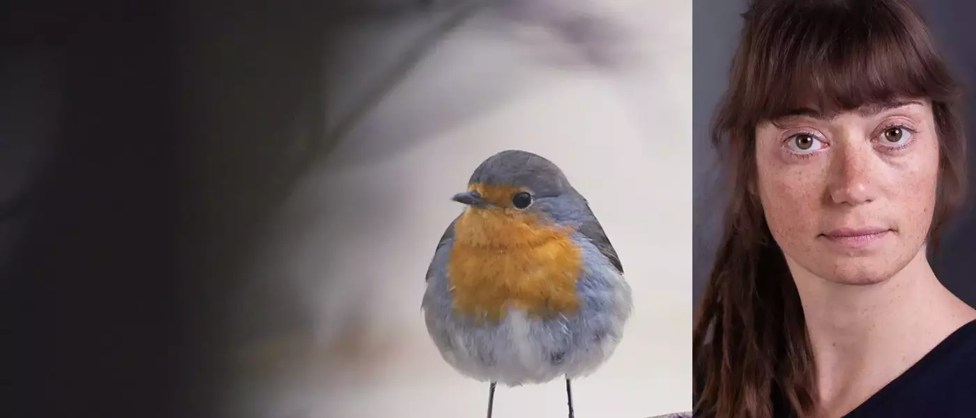 A Documentary on Nature's Resilience in the Face of Industry