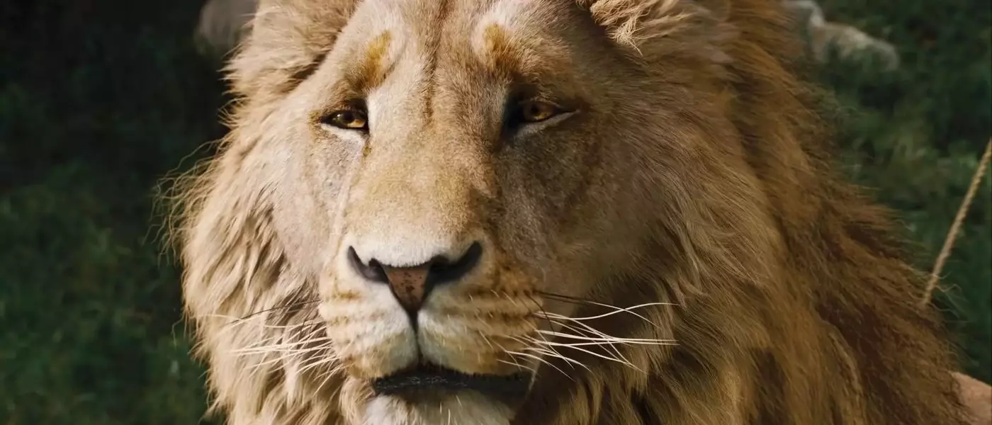 Greta Gerwig's Narnia Film Reveals First Look, Meryl Streep Cast as Aslan