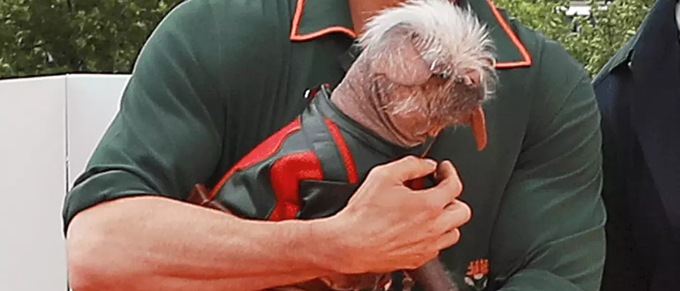 Ryan Reynolds's Exquisite Watch Collection