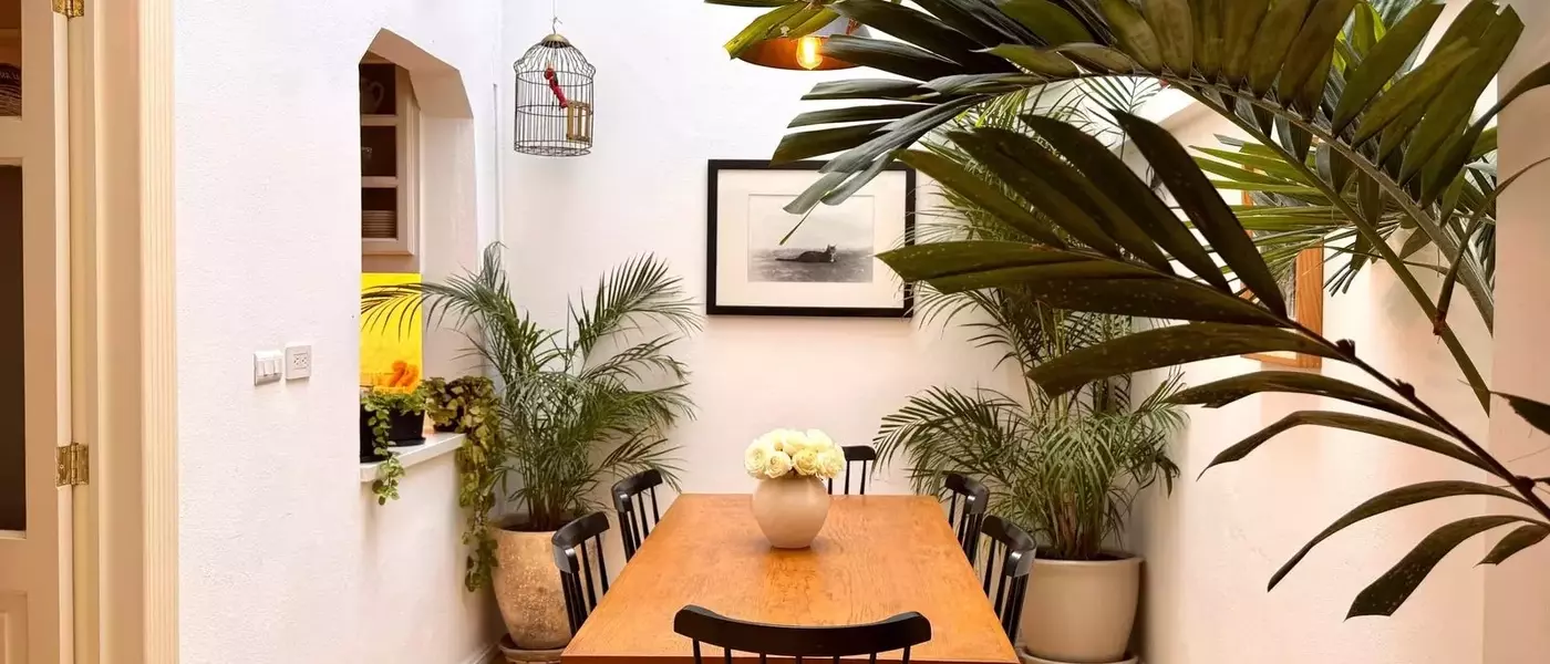 Discover Your Perfect Mexico City Airbnb: A Guide to the Best Stays