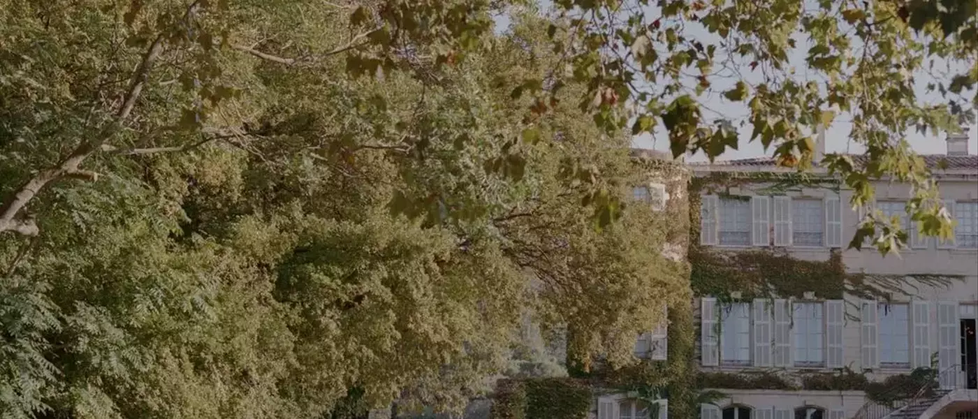 Simu Liu and Allison Hsu's Enchanting Provence Wedding