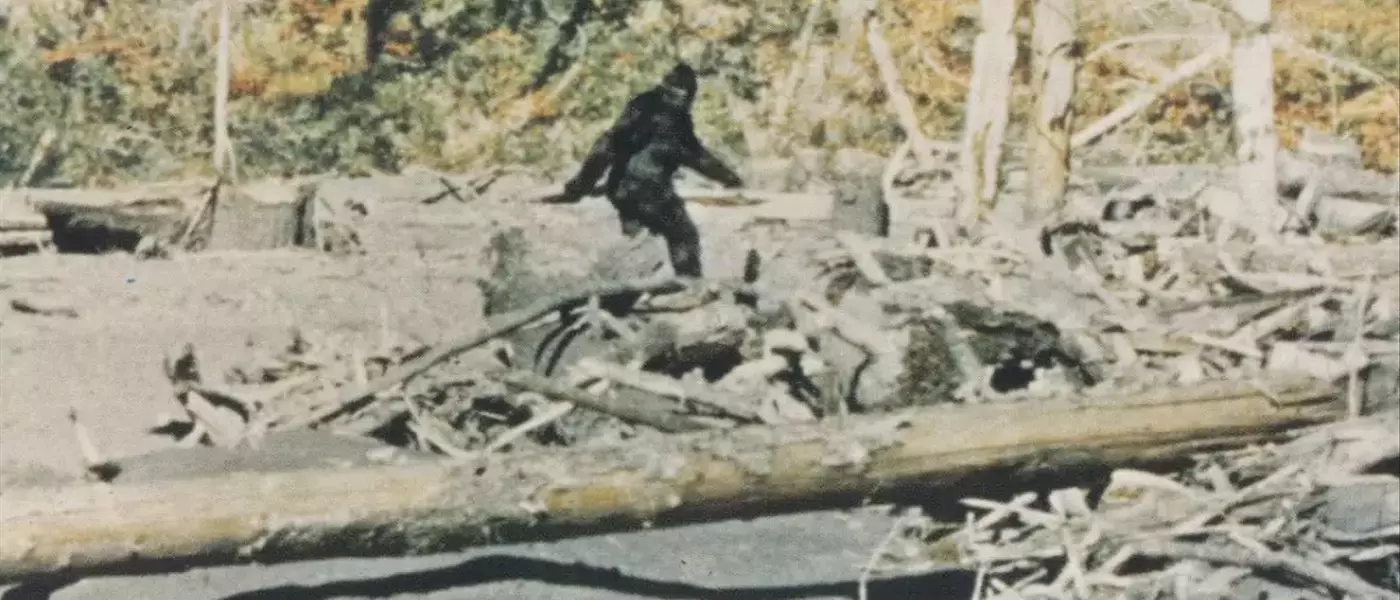 Unveiling the Truth: A Deep Dive into the Bigfoot Phenomenon