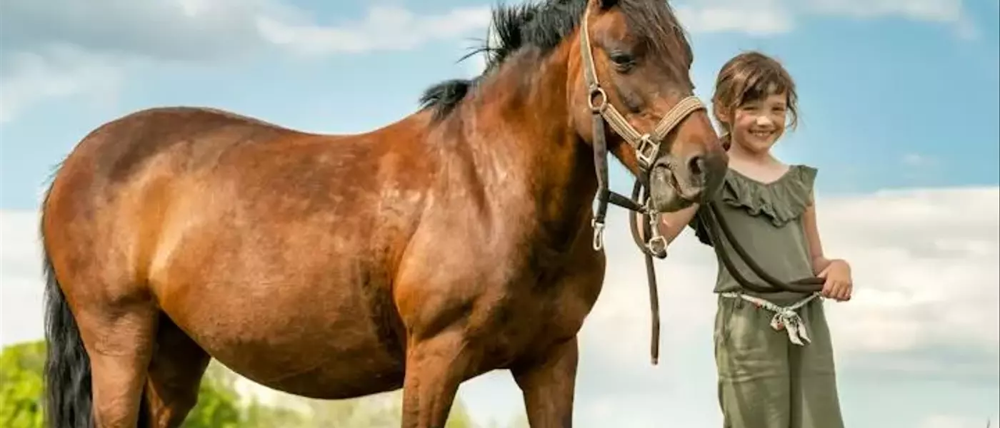 43 Equine-Inspired Names for Your Future Horse Enthusiast