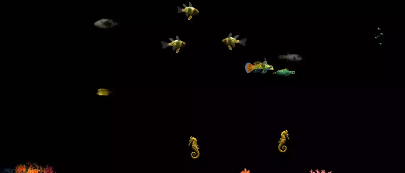 The Origin Story of the Iconic Windows Fish Screensaver