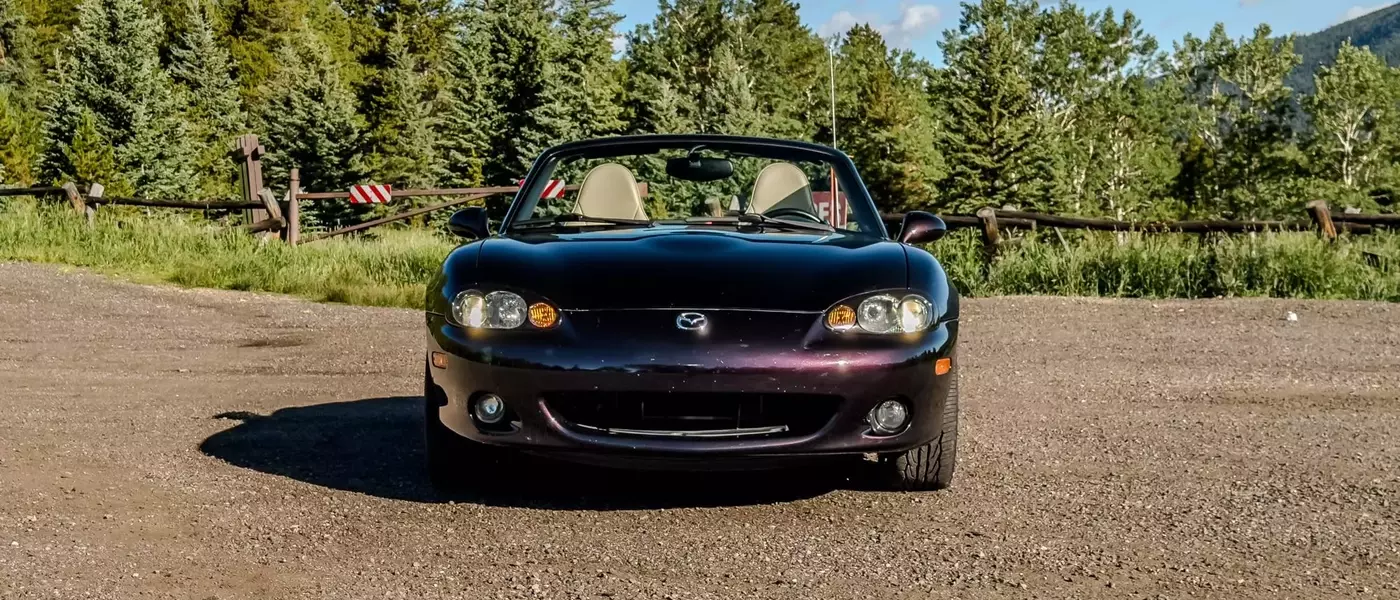 Tail-Wagging Travels: Crafting a Pet-Friendly Mazda Miata