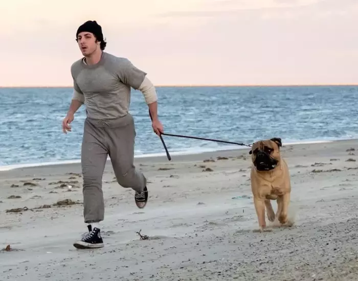 “I Play Rocky” Movie Premieres at TIFF, Poised for Oscar Consideration