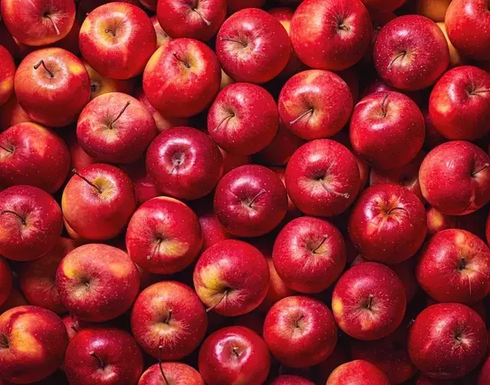 Mastering Apple Freshness: Expert Tips and Storage Secrets