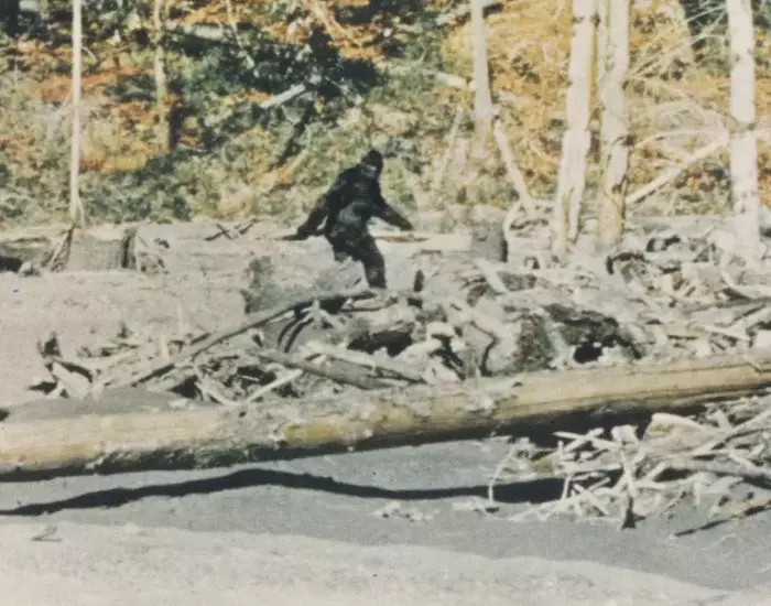 Unveiling the Truth: A Deep Dive into the Bigfoot Phenomenon
