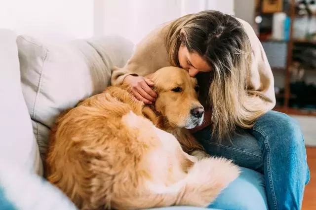 Understanding Your Dog's Affectionate Habit of Spot-Stealing
