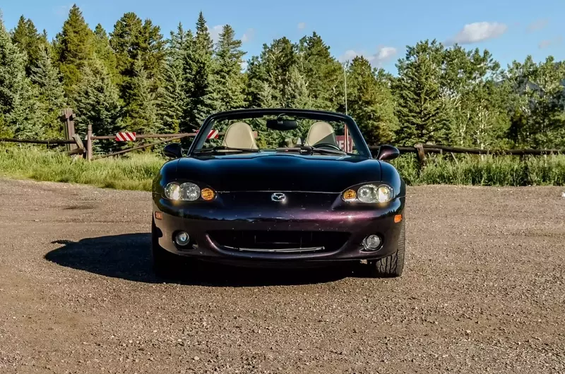 Tail-Wagging Travels: Crafting a Pet-Friendly Mazda Miata